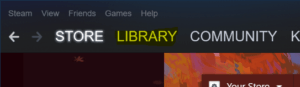 Steam Library